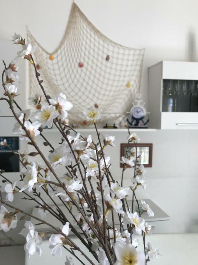 B&B Cagliari Ariosto קליארי מראה חיצוני תמונה